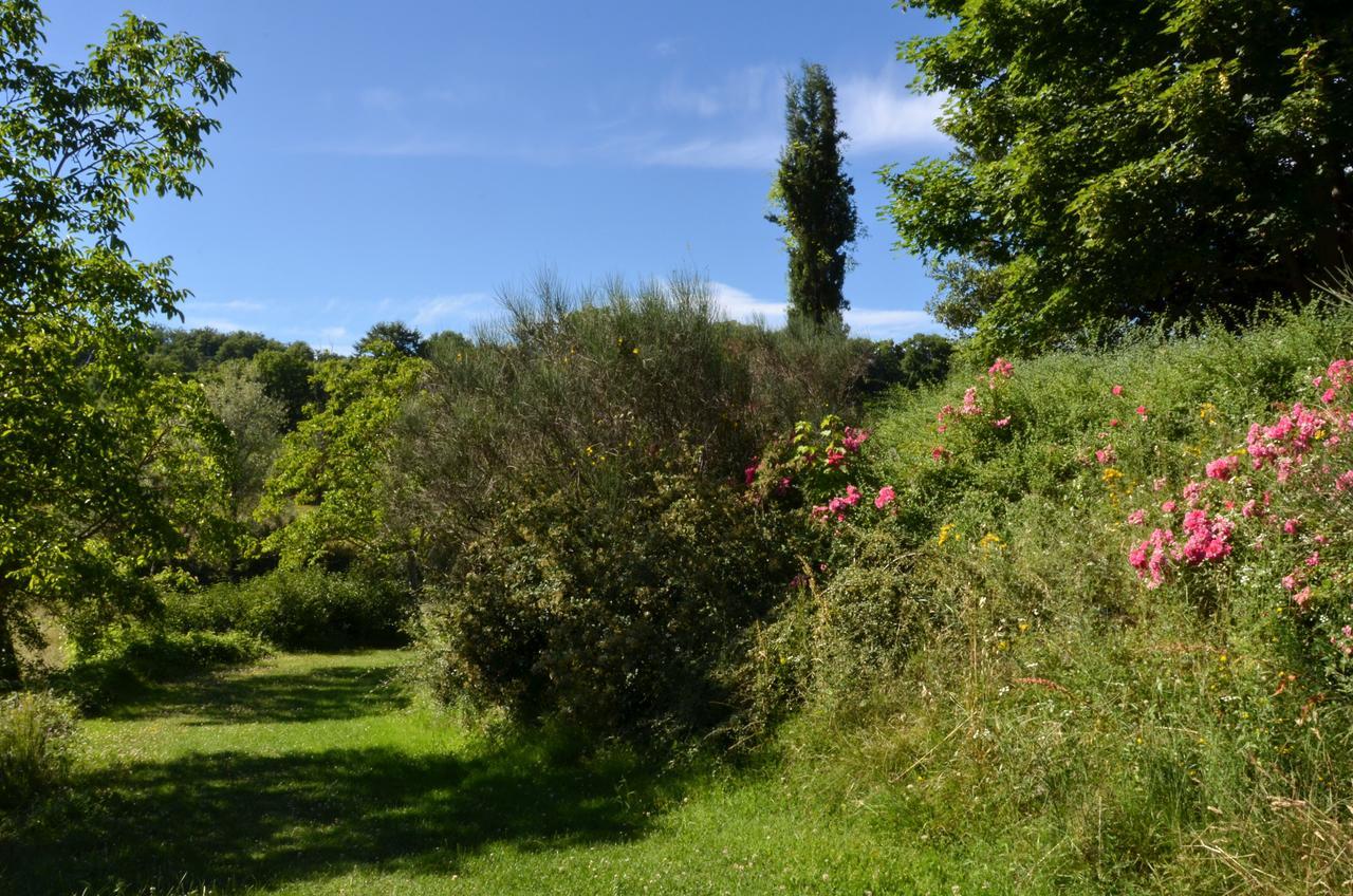 Agriturismo Villa Mozart Nel Verde Gubbio Dış mekan fotoğraf