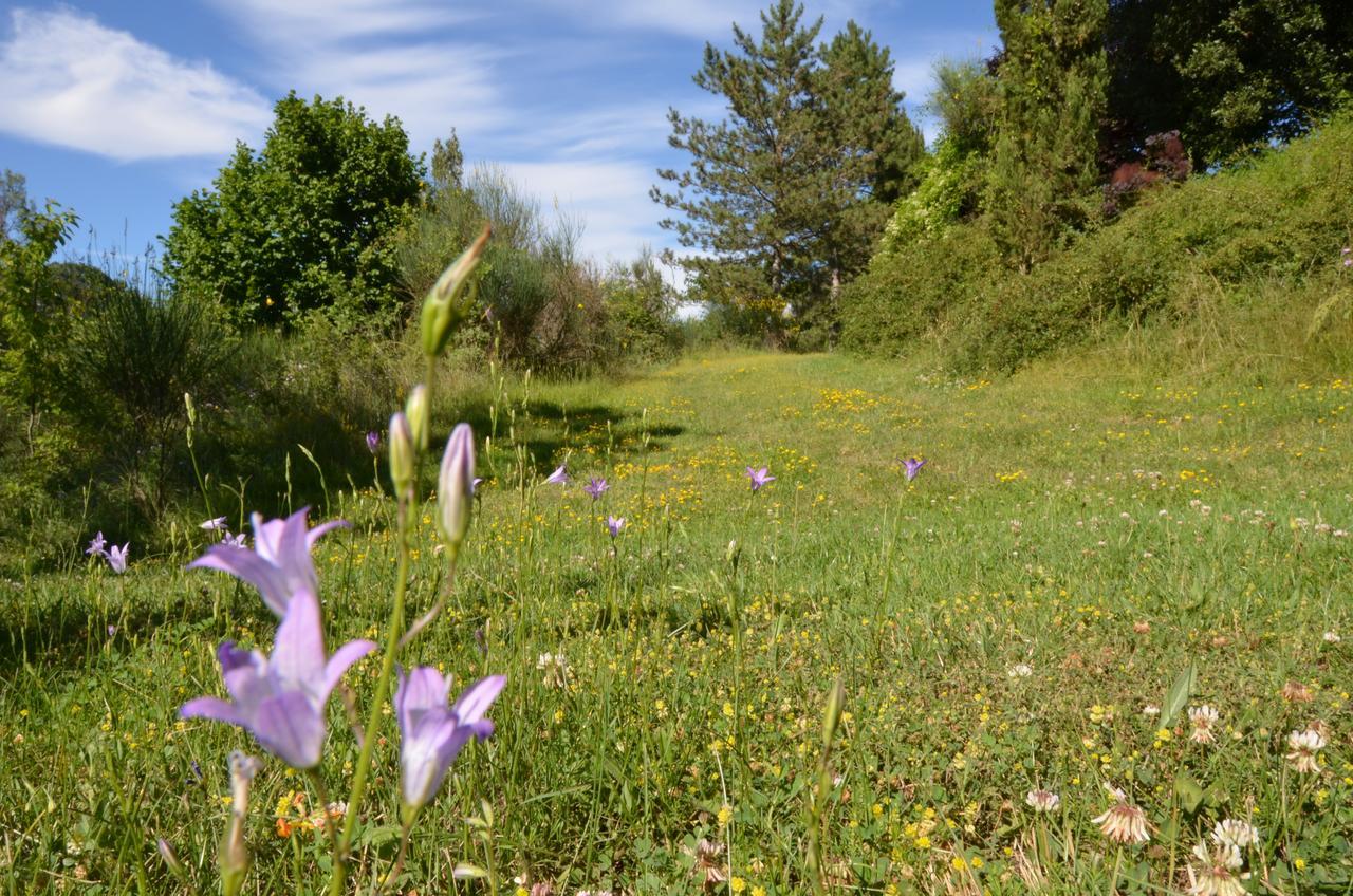 Agriturismo Villa Mozart Nel Verde Gubbio Dış mekan fotoğraf
