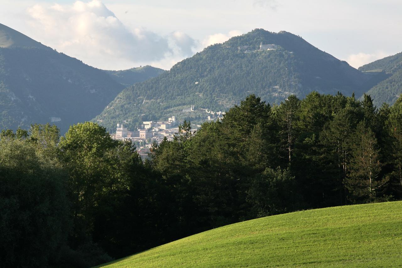 Agriturismo Villa Mozart Nel Verde Gubbio Dış mekan fotoğraf