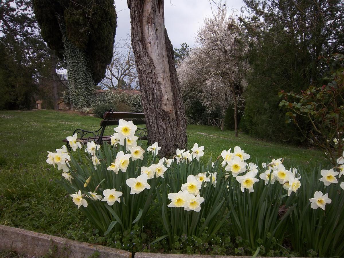 Agriturismo Villa Mozart Nel Verde Gubbio Dış mekan fotoğraf