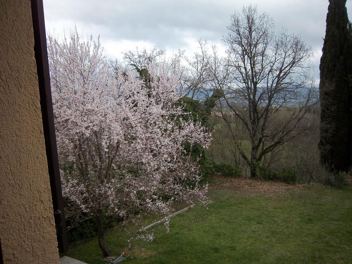 Agriturismo Villa Mozart Nel Verde Gubbio Dış mekan fotoğraf
