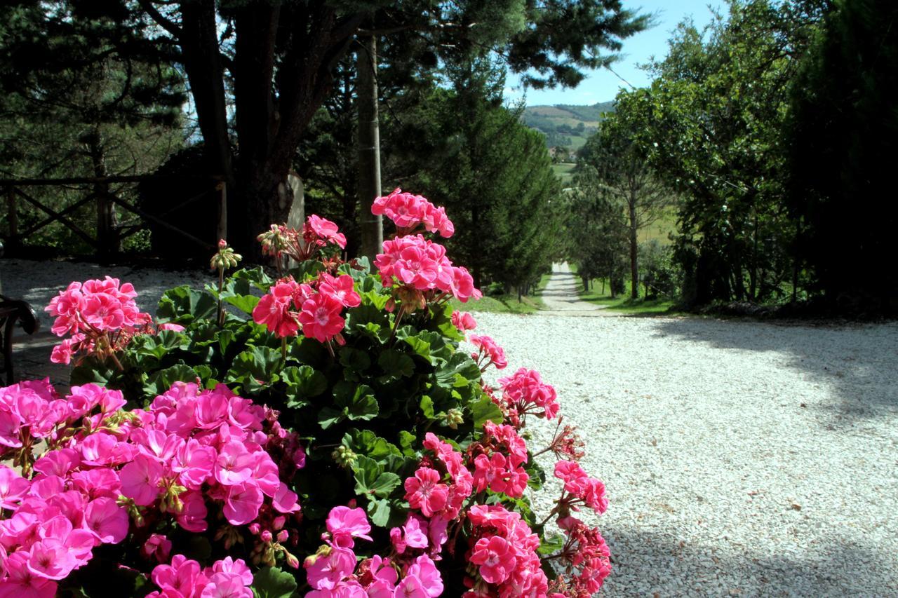 Agriturismo Villa Mozart Nel Verde Gubbio Dış mekan fotoğraf