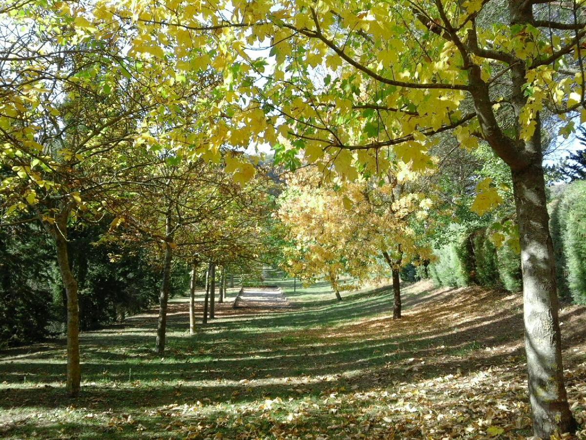 Agriturismo Villa Mozart Nel Verde Gubbio Dış mekan fotoğraf
