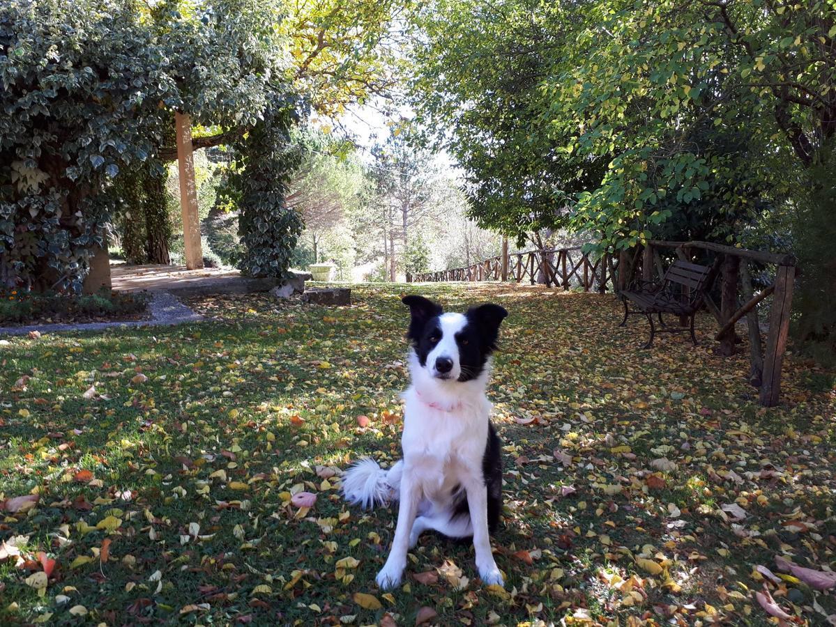 Agriturismo Villa Mozart Nel Verde Gubbio Dış mekan fotoğraf