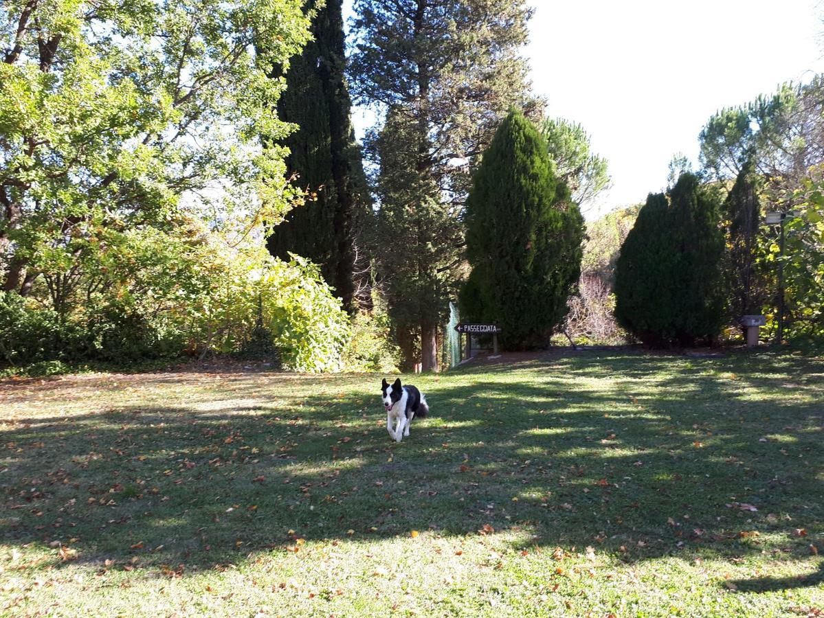 Agriturismo Villa Mozart Nel Verde Gubbio Dış mekan fotoğraf