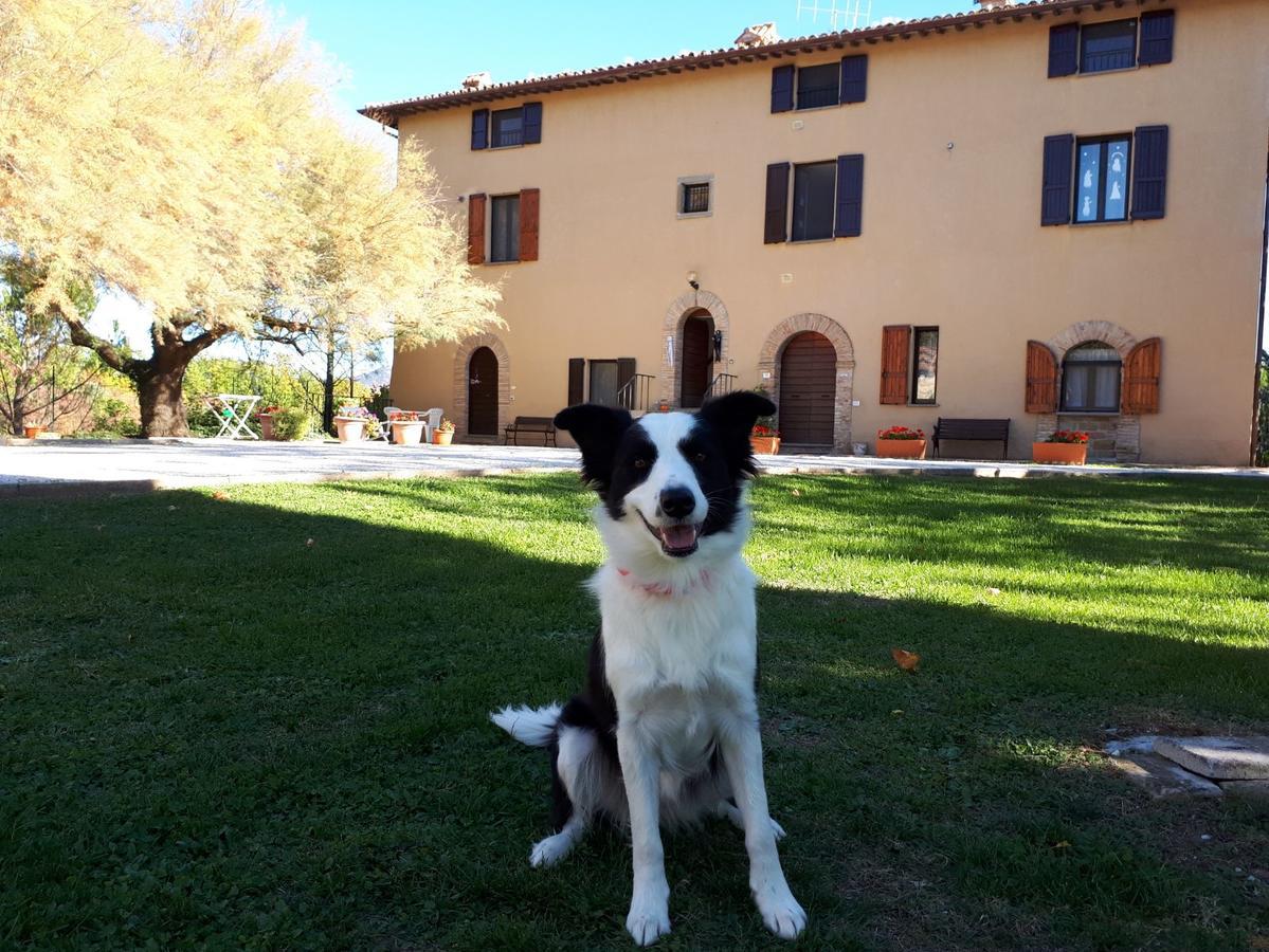 Agriturismo Villa Mozart Nel Verde Gubbio Dış mekan fotoğraf