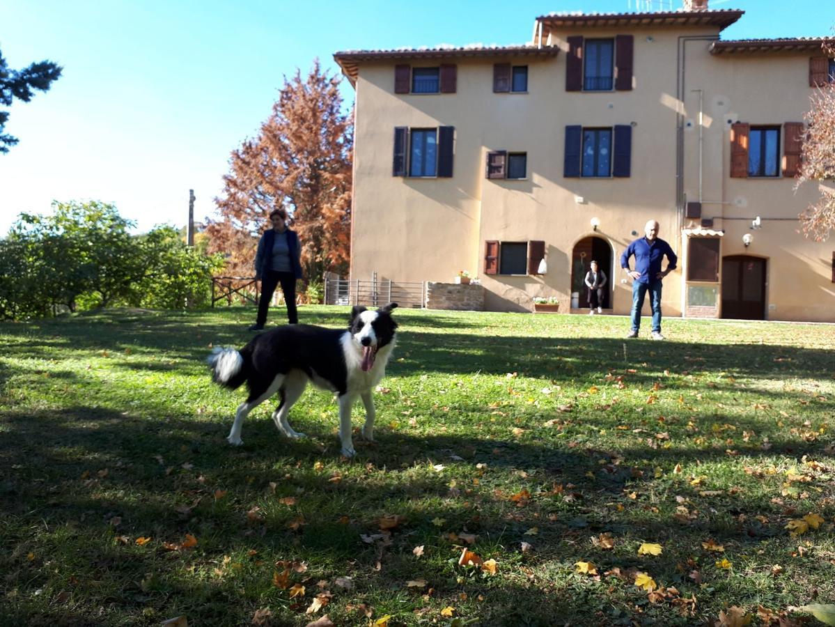 Agriturismo Villa Mozart Nel Verde Gubbio Dış mekan fotoğraf