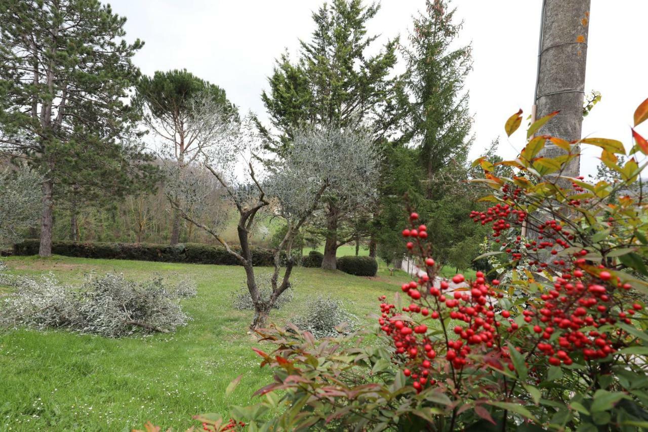 Agriturismo Villa Mozart Nel Verde Gubbio Dış mekan fotoğraf
