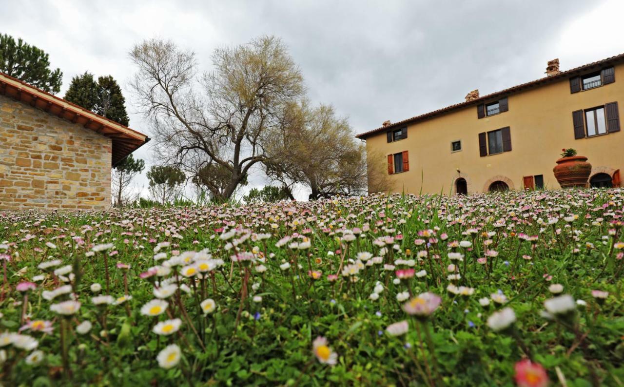 Agriturismo Villa Mozart Nel Verde Gubbio Dış mekan fotoğraf